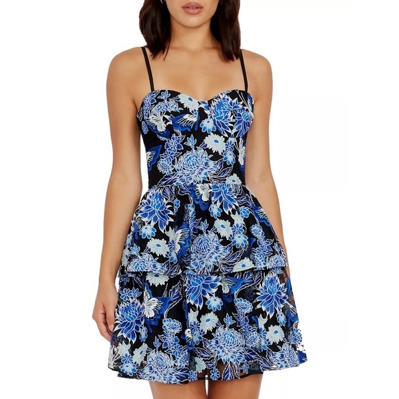 NWT Dress The Population Braelyn Floral Embroidered Tiered Minidress Sz. XL - Picture 4 of 5